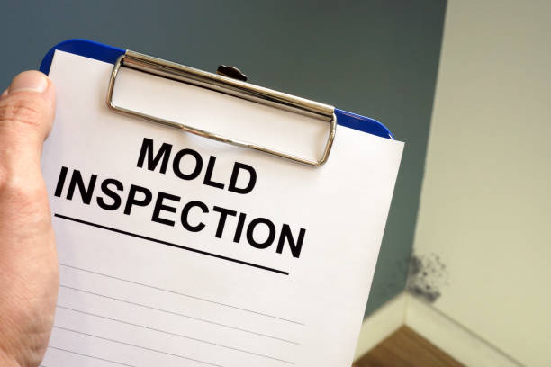 Forensic Mold Investigation